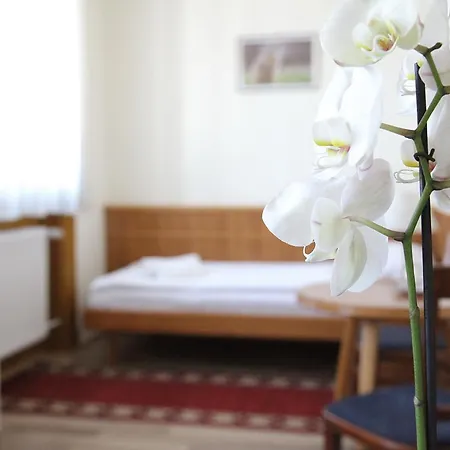 Hotel Corvinus Zalaszentgrót