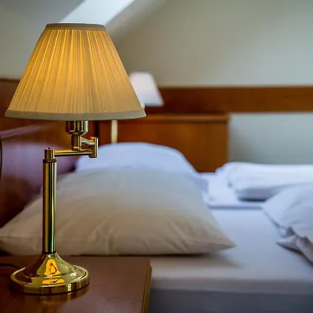 Hotel Corvinus 3*
