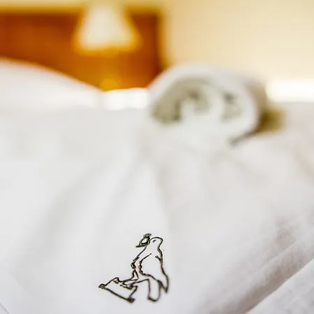 Corvinus 3* Zalaszentgrót